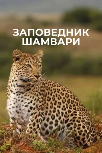 Заповедник Шамвари (2018) смотреть онлайн